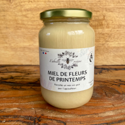 Miel de fleurs de printemps